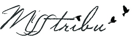 MISS TRIBU